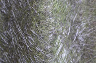 Lowtherville fibreglass roof work